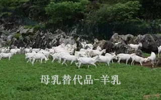 ��ѧ���������˹�ι��������ע������